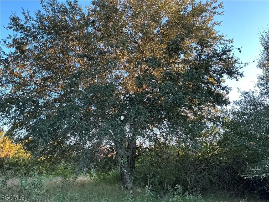 5801 4th Road Labelle FL 33935