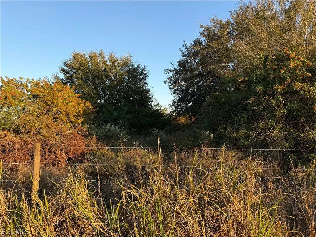 5801 4th Road Labelle FL 33935