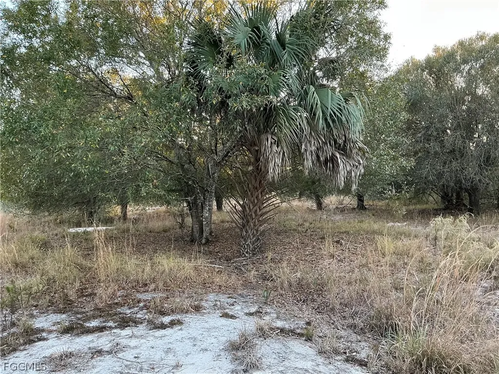5801 4th Road Labelle FL 33935