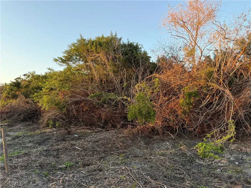 5801 4th Road Labelle FL 33935