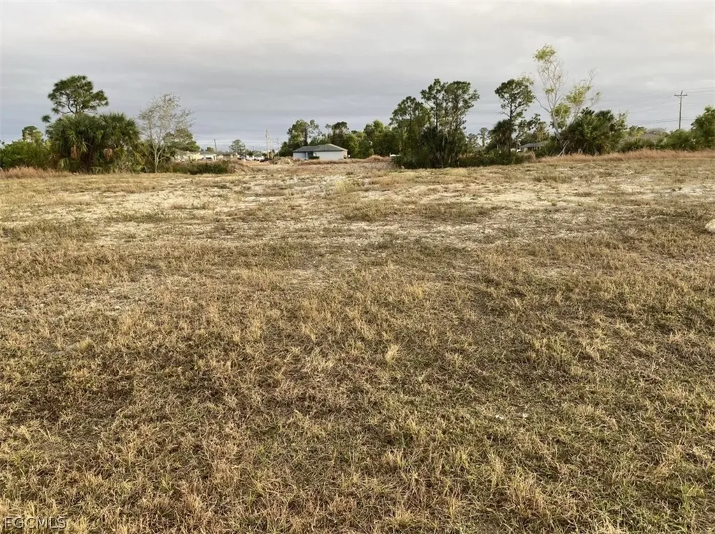 1928 NE 42nd Terrace Cape Coral FL 33909