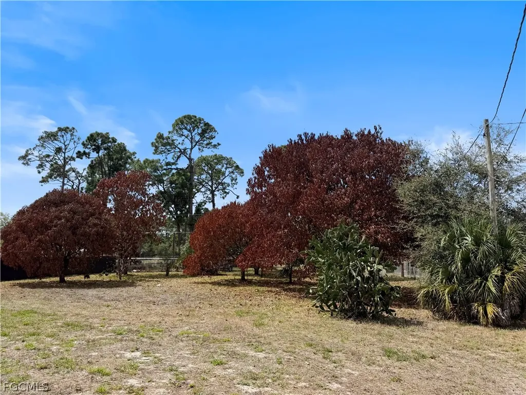 209 Mcarthur Avenue Lehigh Acres FL 33936