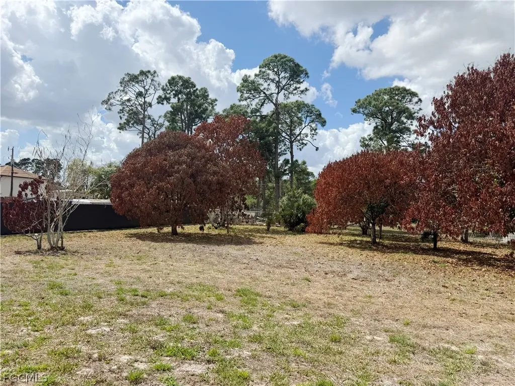 209 Mcarthur Avenue Lehigh Acres FL 33936