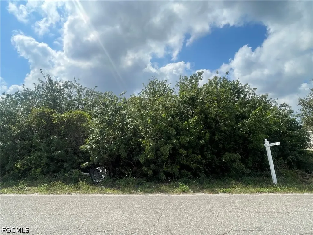 1017/1019 Albany Avenue Lehigh Acres FL 33971