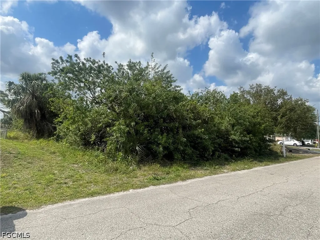 1017/1019 Albany Avenue Lehigh Acres FL 33971