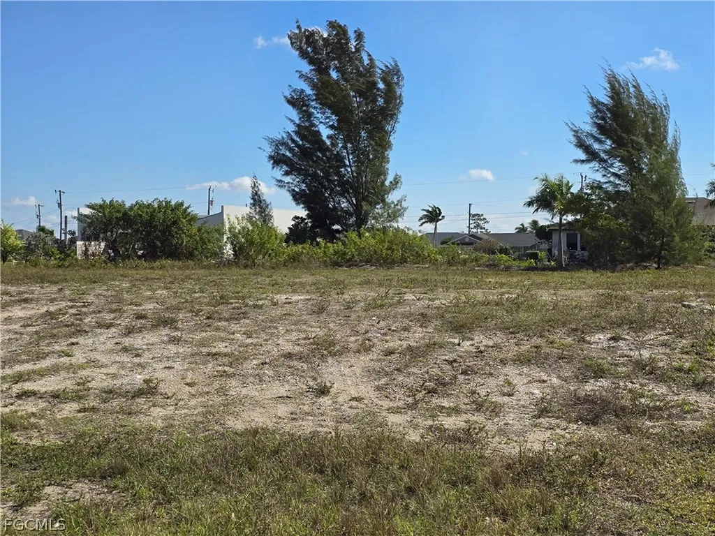 117 NW 14th Avenue Cape Coral FL 33993