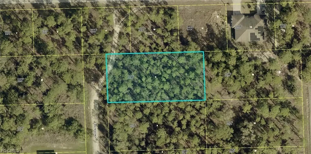 1122 Lincoln Avenue Lehigh Acres FL 33972