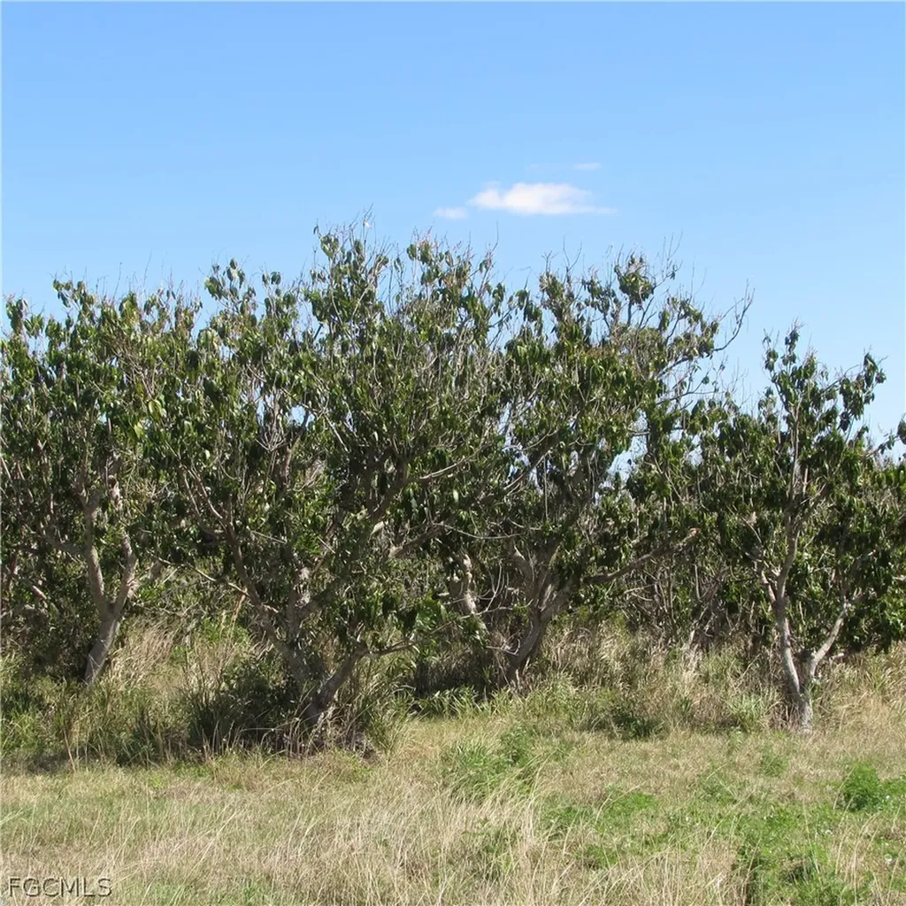 13171 Samadani Lane Bokeelia FL 33922