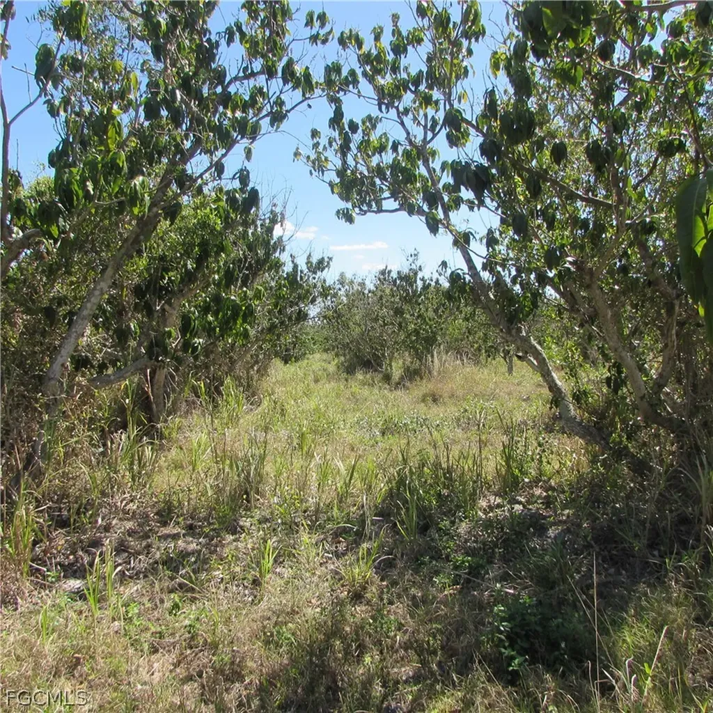 13171 Samadani Lane Bokeelia FL 33922