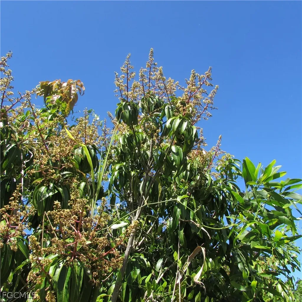 13171 Samadani Lane Bokeelia FL 33922