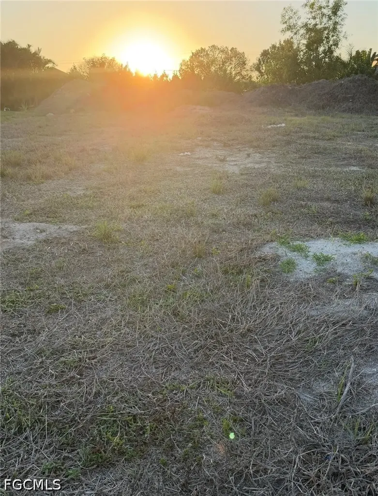 4224 SW 15th Place Cape Coral FL 33914