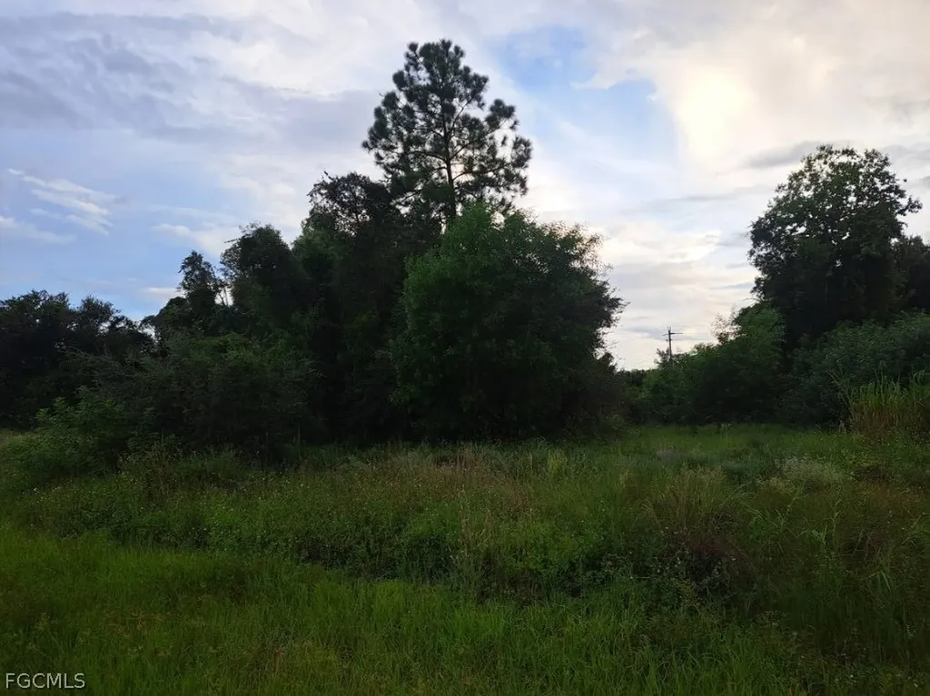 145 Pine Lane Lehigh Acres FL 33973