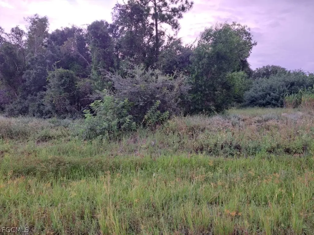 145 Pine Lane Lehigh Acres FL 33973