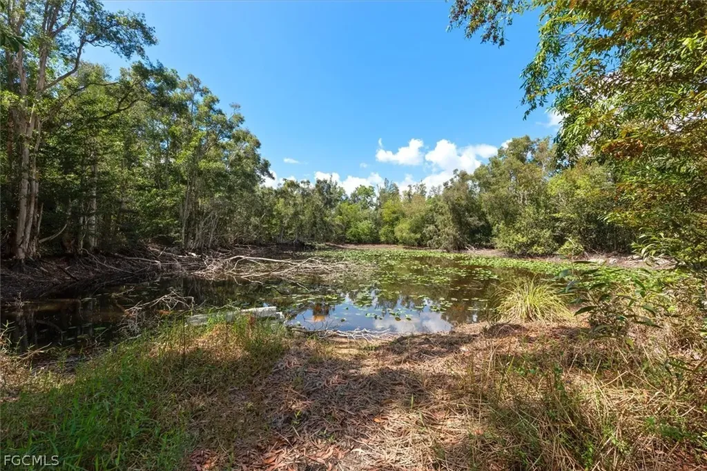 15710 Shamrock Drive Fort Myers FL 33912