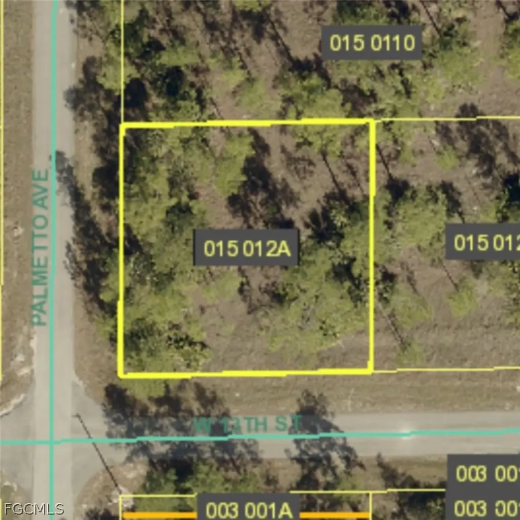 806 W 13th Street Lehigh Acres FL 33972