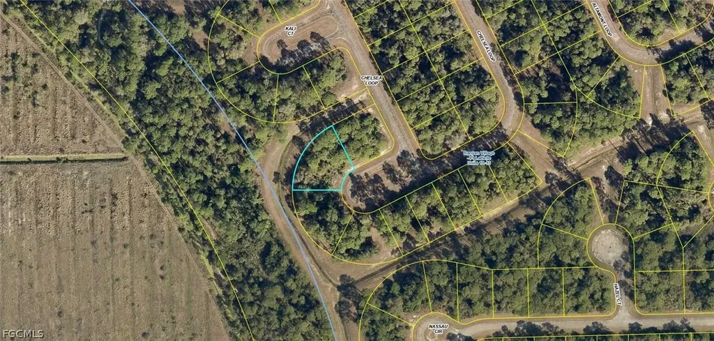 431 Chelsea Loop Labelle FL 33935