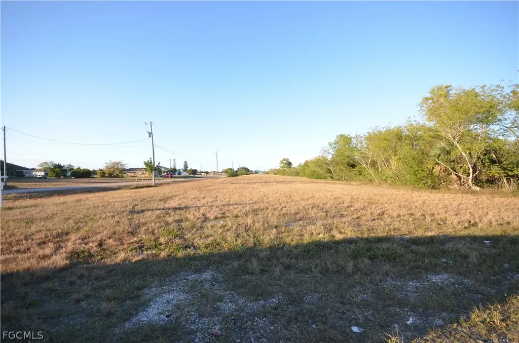 1001 NE 5th Place Cape Coral FL 33909