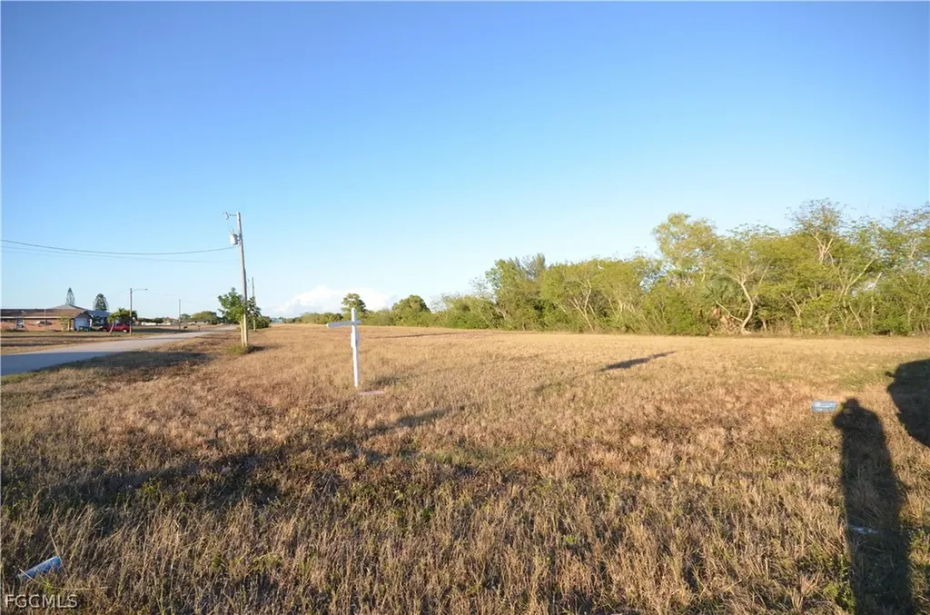 1001 NE 5th Place Cape Coral FL 33909