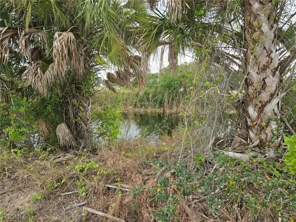 1440 NE 33rd Street Cape Coral FL 33909
