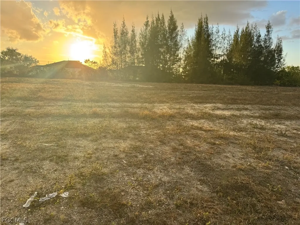 907 NE 1st Avenue Cape Coral FL 33909