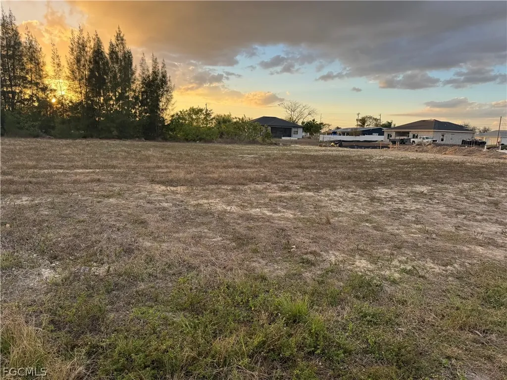 1020 NE 1 Place Cape Coral FL 33909