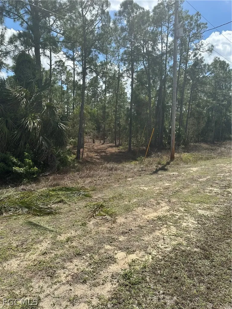 825 Grenada Avenue Lehigh Acres FL 33974
