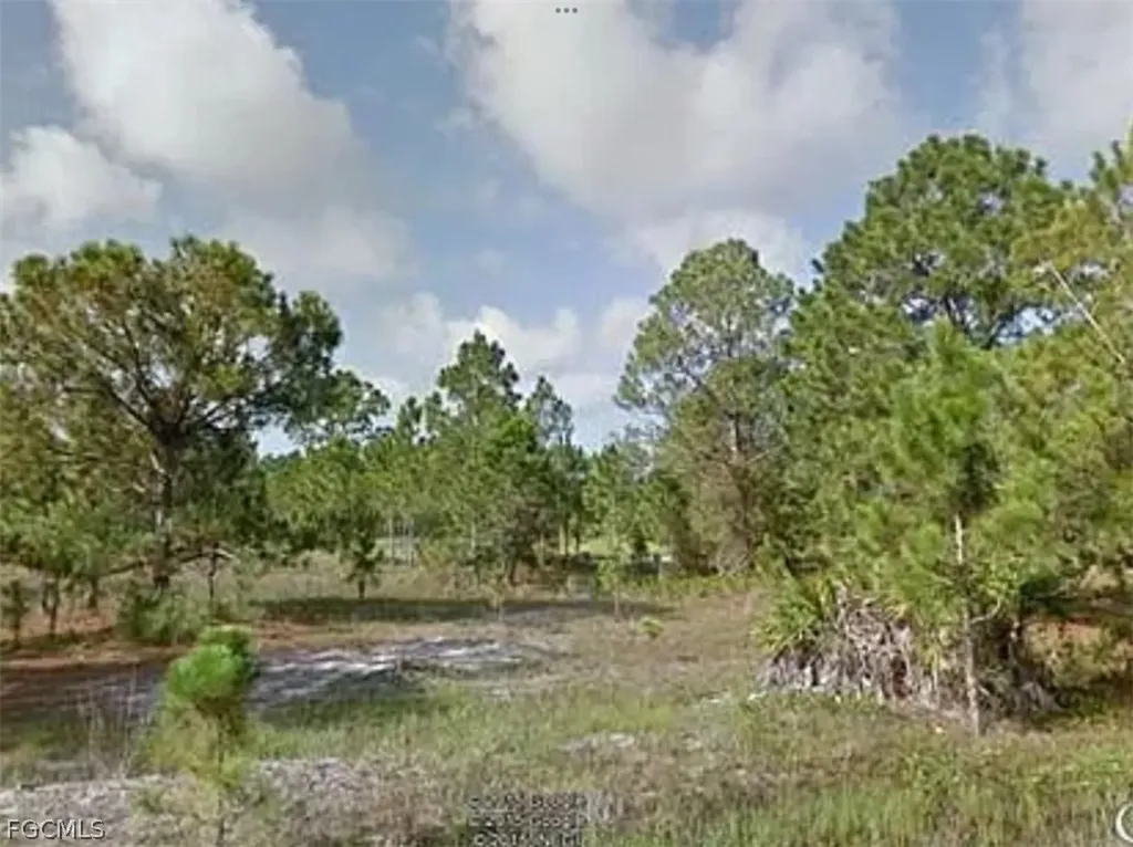 862 Arogon Street E Lehigh Acres FL 33974