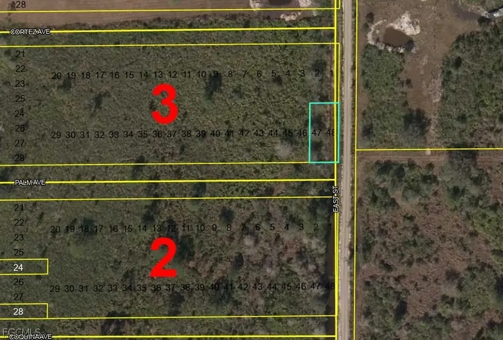 Lots 47 + 48 Palm Avenue Labelle FL 33935