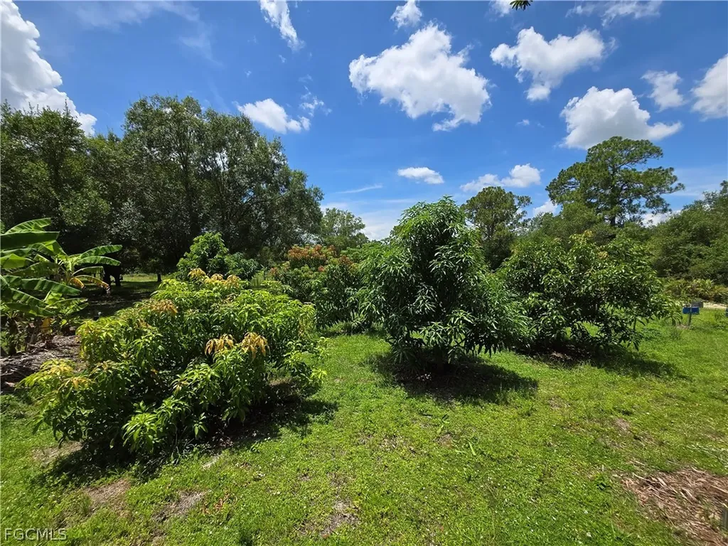 501 Wildwood Avenue Clewiston FL 33440