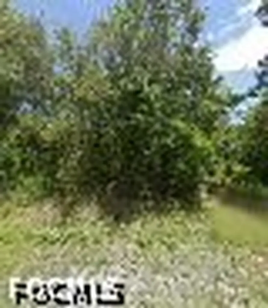 245 N Romero Street Clewiston FL 33440