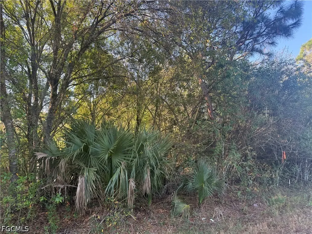 858 Woodland Boulevard Clewiston FL 33440