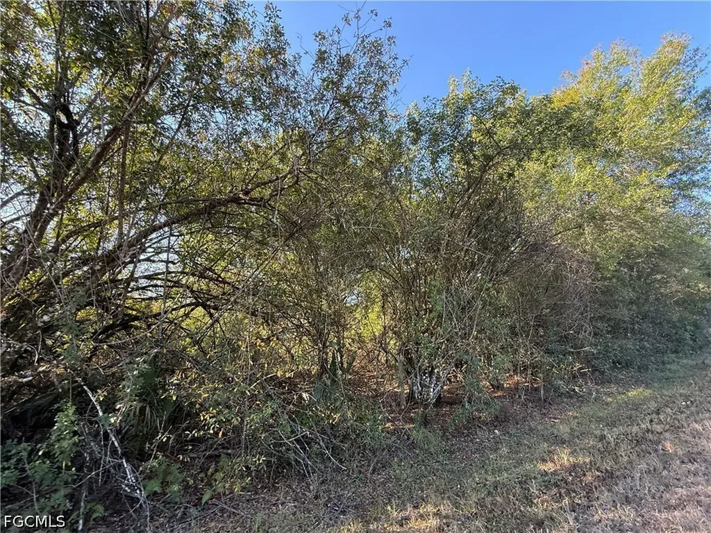 858 Woodland Boulevard Clewiston FL 33440