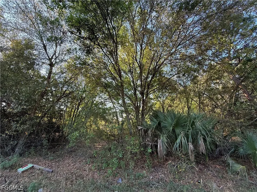858 Woodland Boulevard Clewiston FL 33440