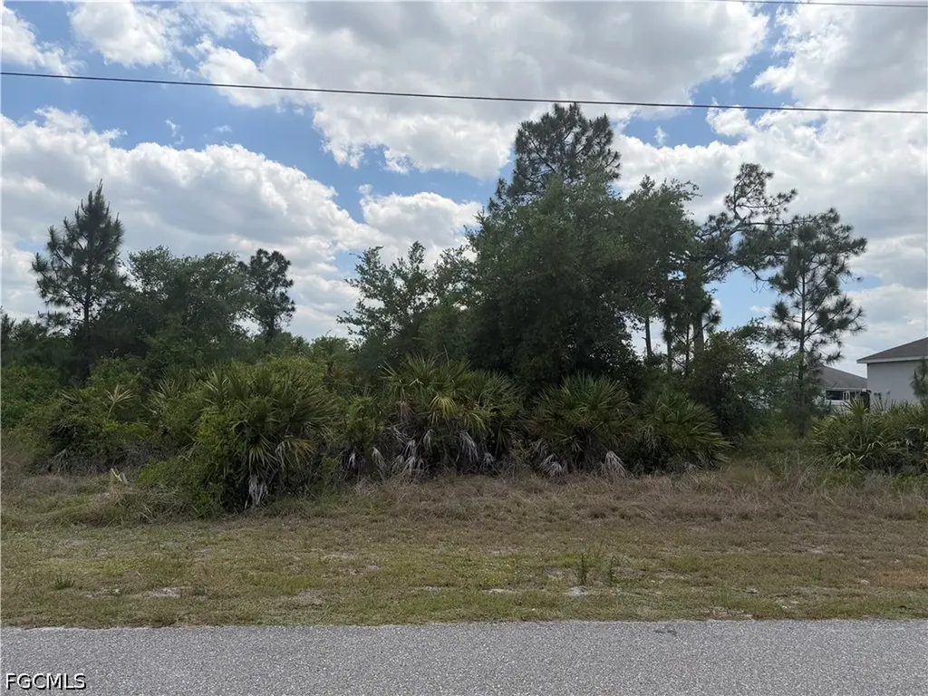 1247 Galileo Street E Lehigh Acres FL 33974