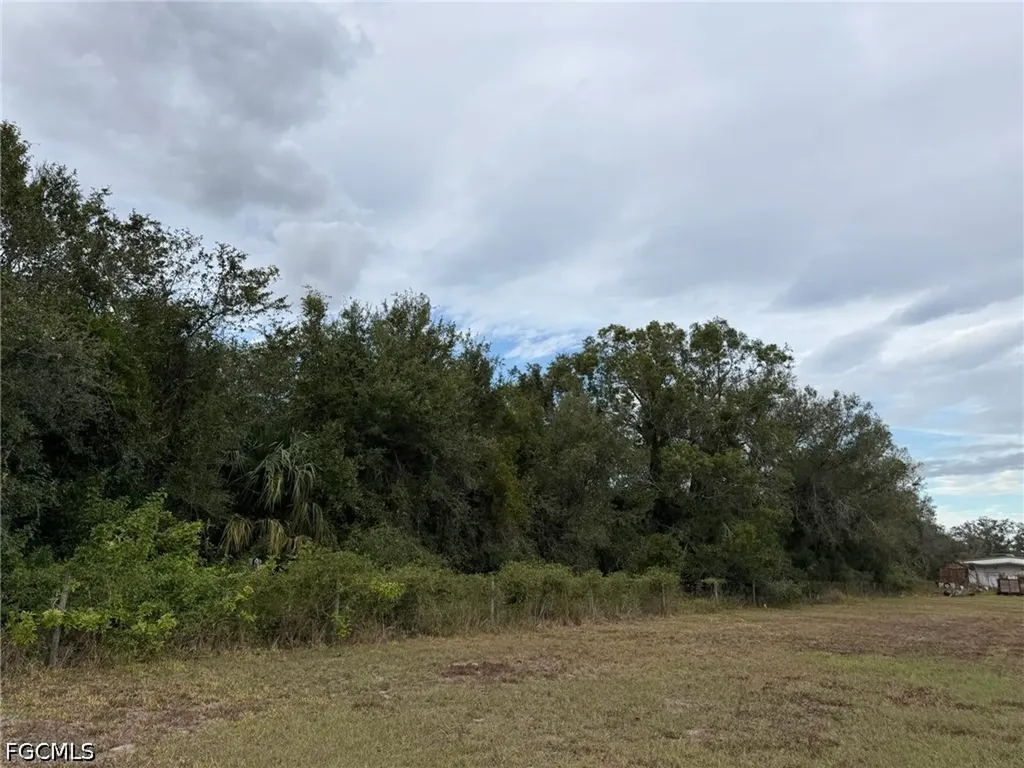 2597 NE Nat Avenue Arcadia FL 34266