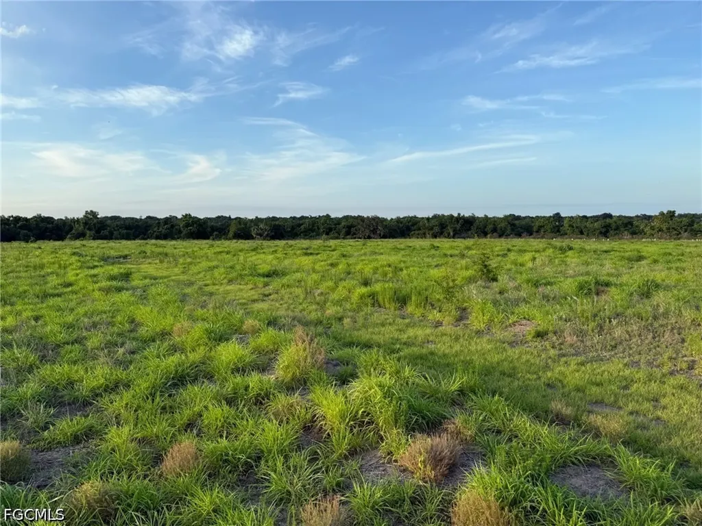 1445 S Florida Avenue Wauchula FL 33873