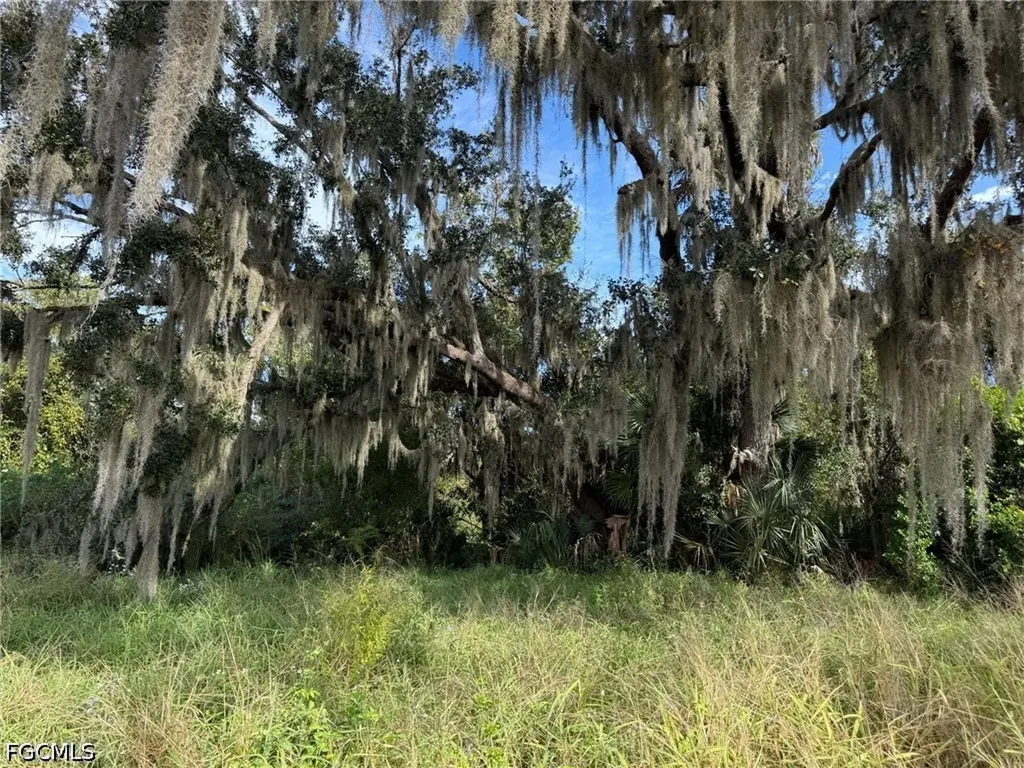 1445 S Florida Avenue Wauchula FL 33873