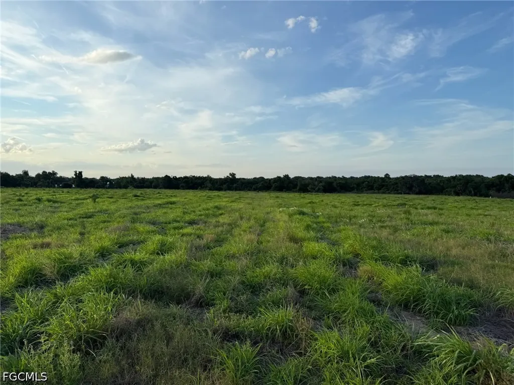 1445 S Florida Avenue Wauchula FL 33873