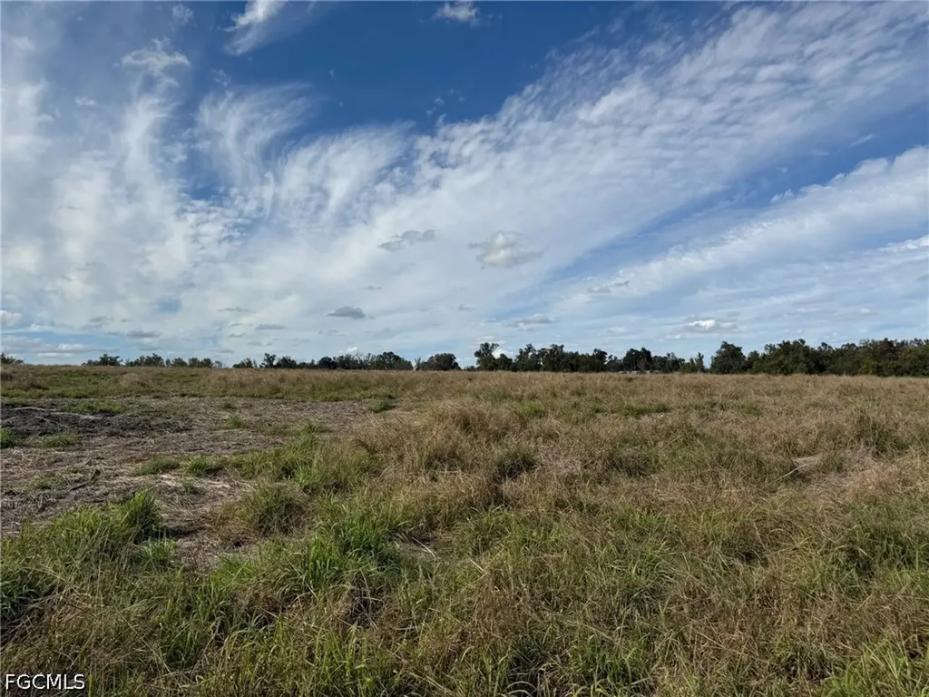 1445 S Florida Avenue Wauchula FL 33873