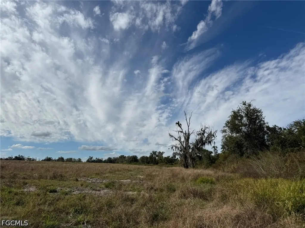 1445 S Florida Avenue Wauchula FL 33873