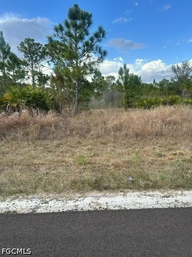 1115 Bayliss Street E Lehigh Acres FL 33974