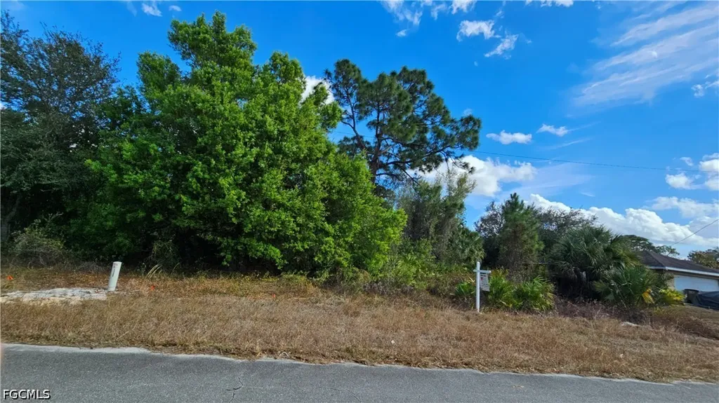 217 Narcissus Avenue S Lehigh Acres FL 33974