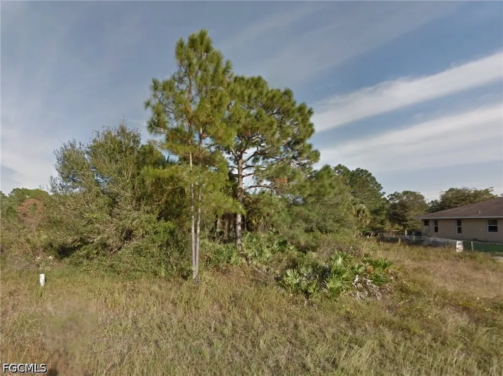 217 Narcissus Avenue S Lehigh Acres FL 33974