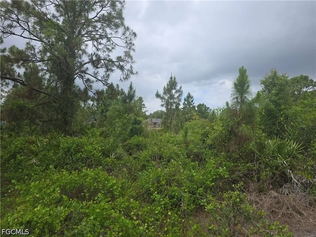 1036 Card Street E Lehigh Acres FL 33974