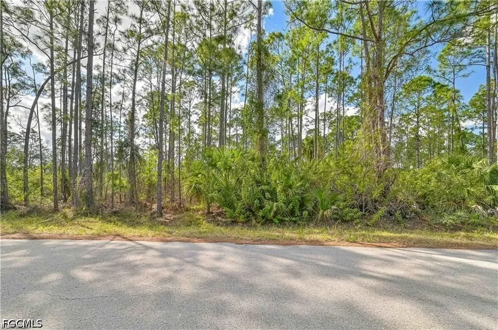 2017 Grant Avenue Alva FL 33920