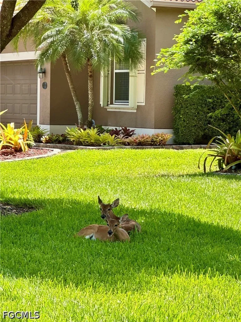 20561 Larino Loop Estero FL 33928