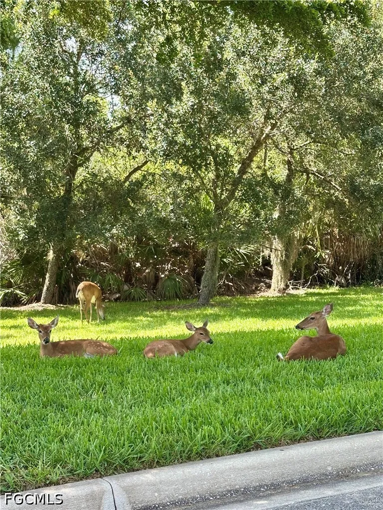 20561 Larino Loop Estero FL 33928
