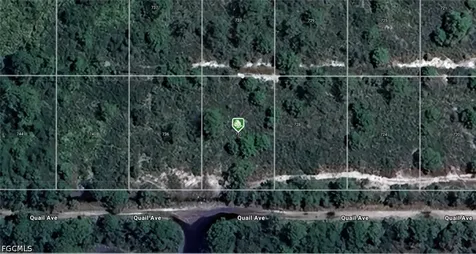 732 Quail Avenue Sebring FL 33870