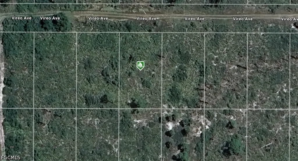 222 Vireo Avenue Sebring FL 33870