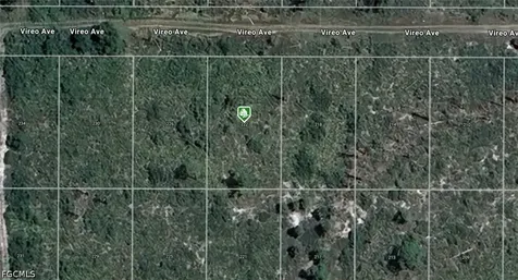 222 Vireo Avenue Sebring FL 33870